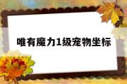 唯有魔力1级宠物坐标-唯有魔力120任务奖励宠