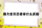 魔力宝贝忍者拿什么武器-魔力宝贝忍者拿什么武器打