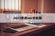 2023奇迹mu手机版-2020年奇迹mu手机版哪个最好