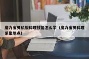 魔力宝物私服料理技能怎么学（魔力宝物料理收罗地点）