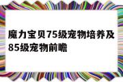 魔力宝贝75级宠物培养及85级宠物前瞻的简单介绍