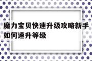 魔力宝贝快速升级攻略新手如何速升等级的简单介绍