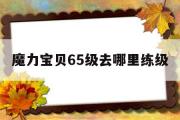 魔力宝贝65级去哪里练级-魔力宝贝60级可以带几级装备