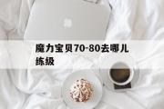 魔力宝贝70-80去哪儿练级的简单介绍