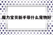 魔力宝贝新手带什么宠物好-魔力宝贝新手带什么宠物好玩