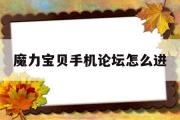 魔力宝贝手机论坛怎么进-魔力宝贝手机论坛怎么进不去