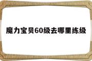 魔力宝物60级去哪里练级-魔力宝物60级去哪里练级好