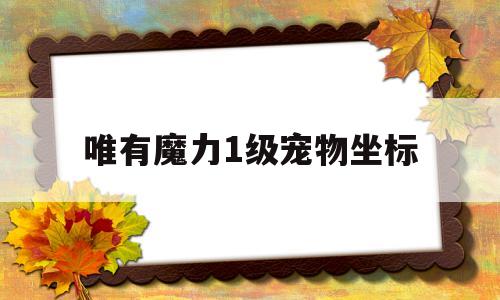 唯有魔力1级宠物坐标-唯有魔力120任务奖励宠