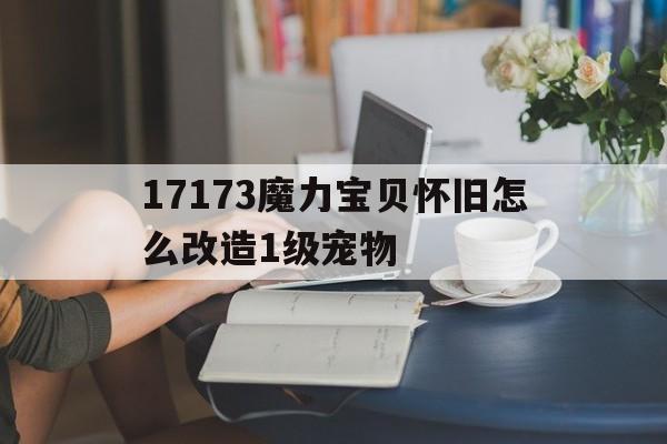 包含17173魔力宝贝怀旧怎么改造1级宠物的词条