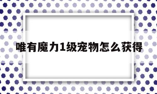 唯有魔力1级宠物怎么获得-唯有魔力1级宠物怎么获得技能