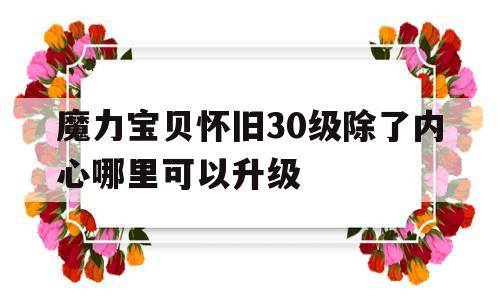 包含魔力宝贝怀旧30级除了内心哪里可以升级的词条