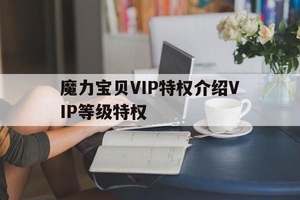 魔力宝贝VIP特权介绍VIP等级特权的简单介绍