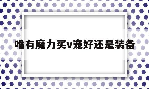 唯有魔力买v宠好还是装备的简单介绍