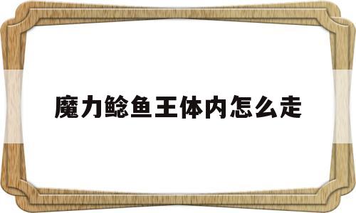 魔力鲶鱼王体内怎么走-魔力手游鲶鱼副本地图走法