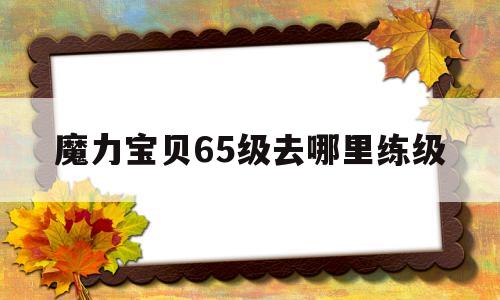 魔力宝贝65级去哪里练级-魔力宝贝60级可以带几级装备