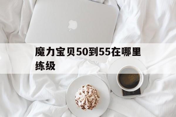 魔力宝贝50到55在哪里练级的简单介绍