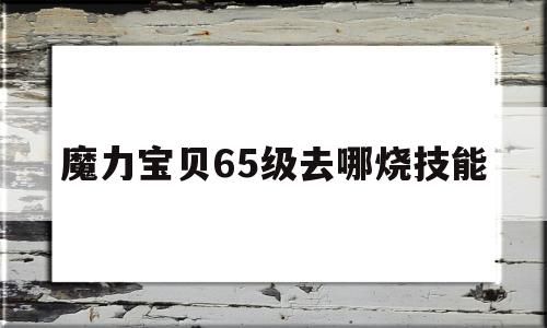 魔力宝贝65级去哪烧技能-魔力宝贝96级去哪里烧技能