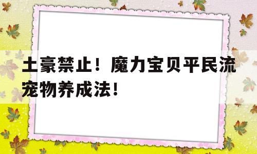 包含土豪禁止！魔力宝贝平民流宠物养成法！的词条